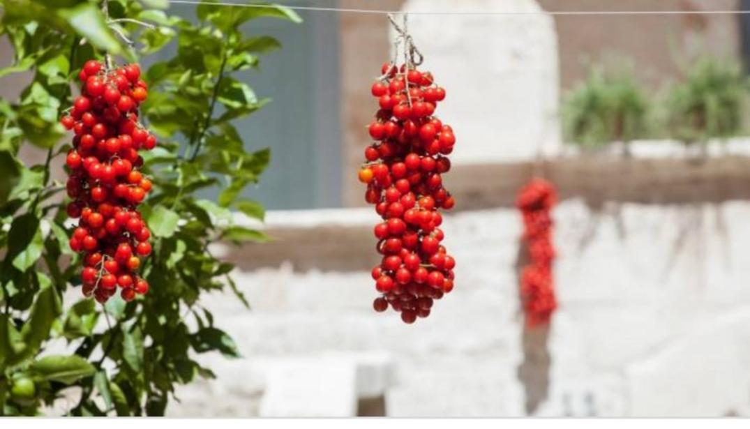 Casa Santa Caterina Villa Ostuni Ngoại thất bức ảnh